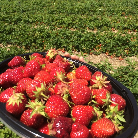 Meet your Posher, Raquel - Picture 1 of 1